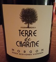 Didier Desvignes - Terre de Charmes
