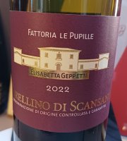 Fattoria Le Pupille