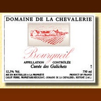 Domaine de La Chevalerie - Cuvée des Galichets 2011 (Bourgueil - red)