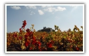 table des millésimes Beaujolais