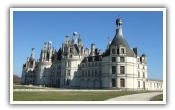 Vineyard of Loire Valley