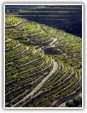 table des millésimes Portugal