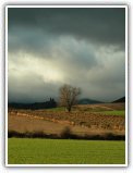 Vintages in Spain