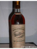 Domaine de Morange