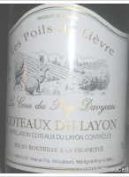 La Cour du Puy Davyeau - Les Poils de Lièvre