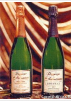Domaine des Aubuisières - Brut
