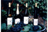 Domaine Allimant-Laugner - Grand Cru Praelatenberg