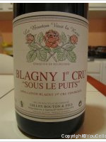 Domaine Gilles Bouton - 1er Cru Sous le Puits