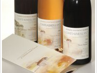 Domaine Geoffrenet-Morval - Vieilles Vignes