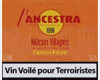 Domaine de L'Ancestra - L'Antithèse - Vin Voilé Pour Terroiriste