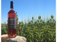 Mas de la Dame - Rosé du Mas