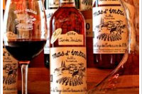 Mas d'Intras - Merlot