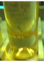 Domaine du Castellat