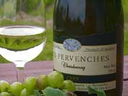 Les Pervenches - Chardonnay Seyval