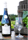 Domaine de la Noë - Chardonnay