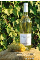 Domaine des Vaudois