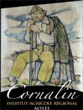 Iaraosta - Cornalin Barrique