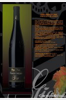 Giorgi - Pinot Nero