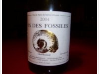 Vin des Fossiles - Chardonnay La Roche des Bancs