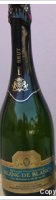 Domaine de la Navarre - Blanc de Blanc Brut