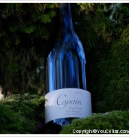 Copain Tous ensemble Pinot Noir