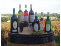 Domaine de Cassagnole - Cuvée Classique