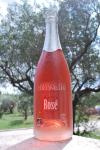 Château des Coccinelles - Brut