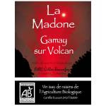 Domaine Gilles Bonnefoy - La Madone