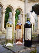 Abbaye de Valmagne- Cuvée Nonenque