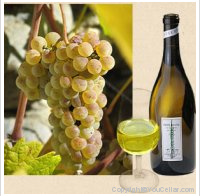 Fabienne Cottagnoud  - Petite Arvine