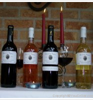 Baron de La Gourgasse Neuve - Marselan Fût de Chêne