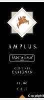 Santa Ema, Amplus Carignan