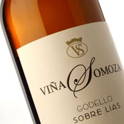 Viña Somoza Godello Sobre Lías