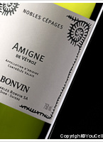 Charles Bonvin, Amigne