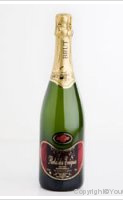 Domaine Joël et Florence Forgeau - Perle des Evêques