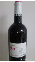 Tiburzi