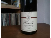Bruno Hunold - Pinot Noir