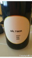 Gãl Tibor