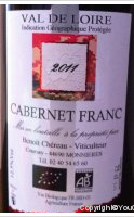 Domaine des Hauts-Halés - Cabernet franc