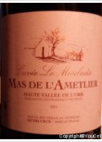 Mas de l'Ametlier