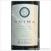 Aurelia Visinescu - Anima