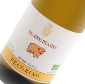 Saladini Pilastri - Pecorino