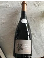 Domaine Jacky Marteau - Tandem