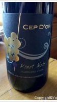 Cep d'or - Pinot noir