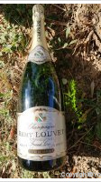Remy Louvet