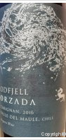Odfjell - Orzada - Carignan - Valle del Maule